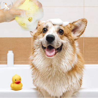 Brosse de bain pour chien  | Softbrush™