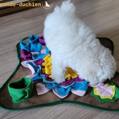 tapis-pou-chien