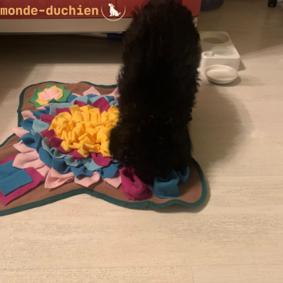 tapis-pour-chien