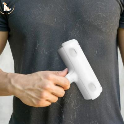 Brosse-anti-poils