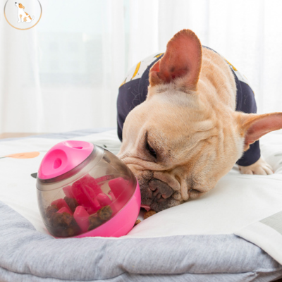Distributeur de croquettes pour chiens | Funnyball™